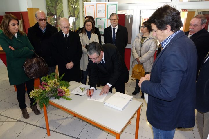 jardim mendes silva 5